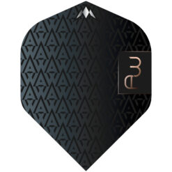 Mission Solo Flight Std. Adam Warner